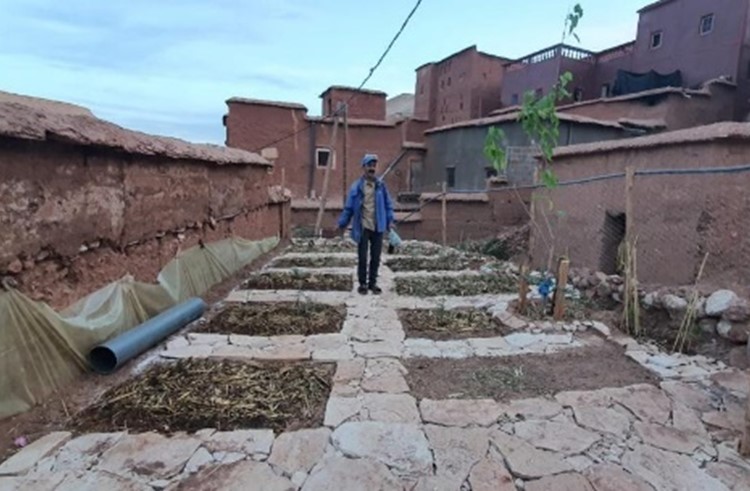 Kitchen Gardens Greener Land   KitchenGardens 